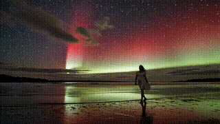 Kling v1.6 | Pro | Text to Video