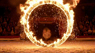 Minimax Hailuo V2 | Standard | Image to Video