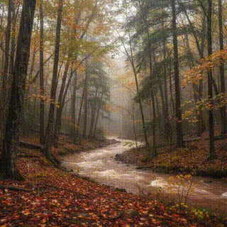 Minimax Hailuo V2.3 | Standard | Text to Video